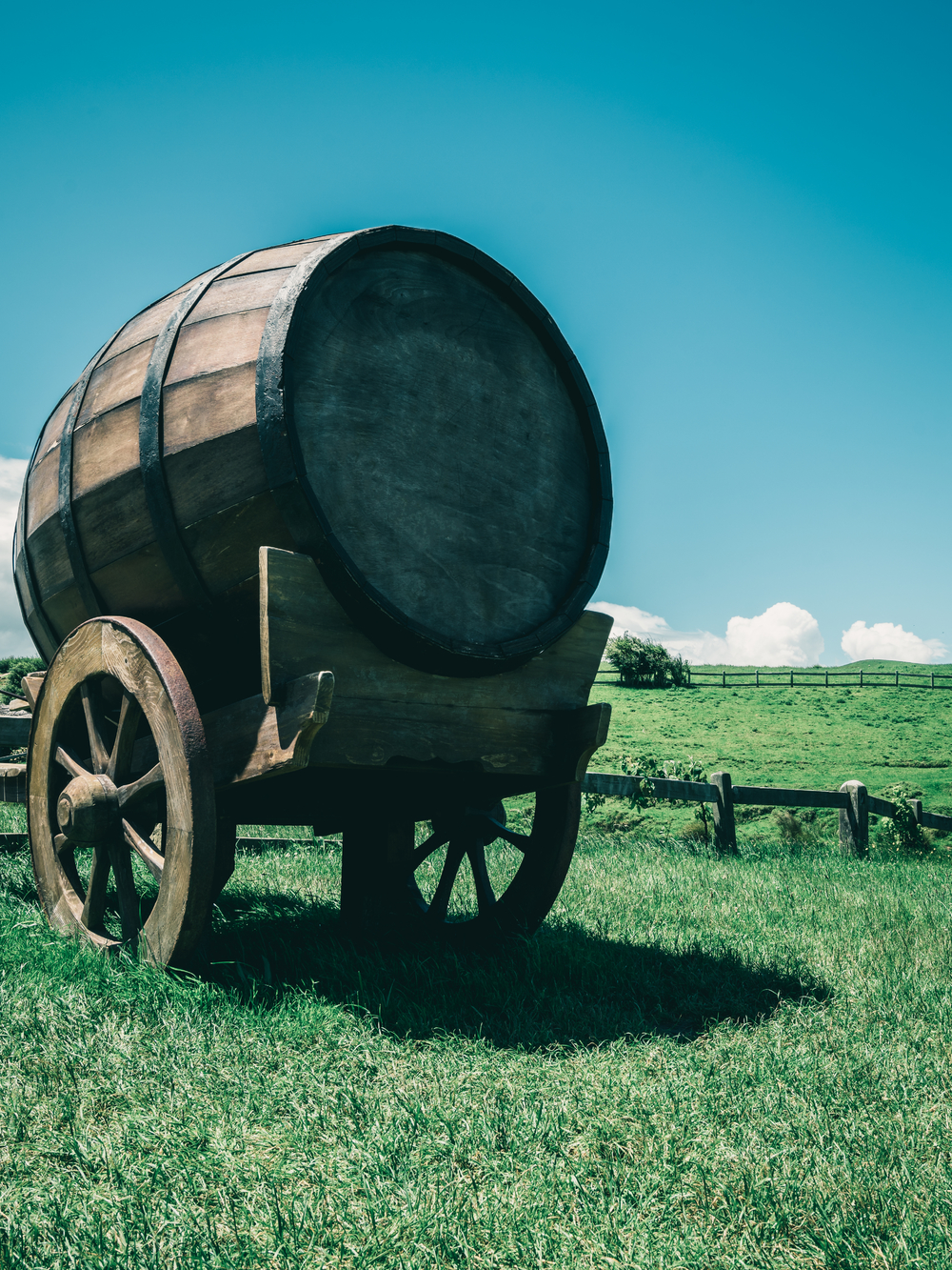 鄉野釀酒 葡萄酒桶、有機農業與酒精飲料的和諧圖景